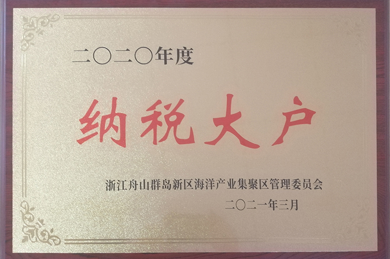 2020年納稅大戶(hù)